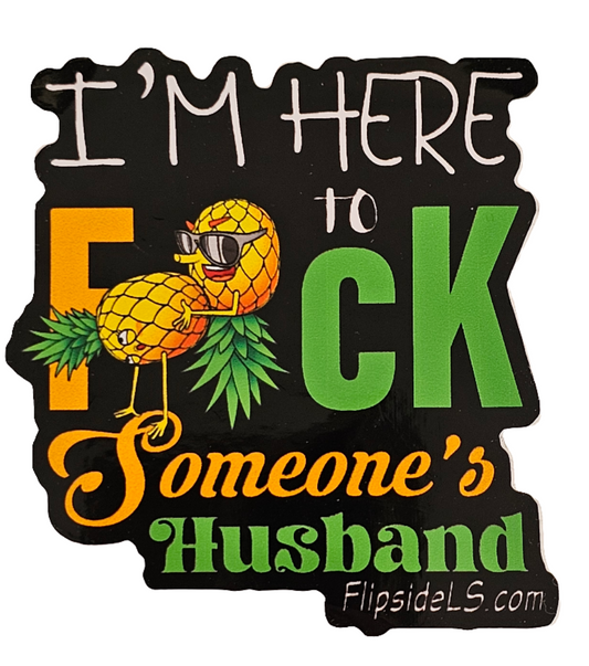 I'm here to F*ck someone's husband sticker