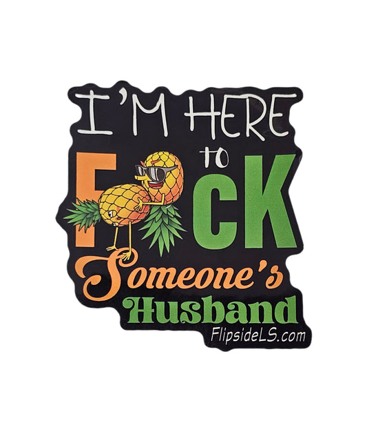 I'm here to F*ck someone's husband sticker